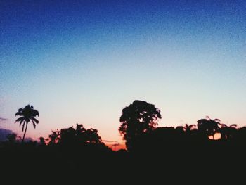 Silhouette trees against clear sky during sunset