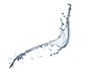 Close-up of water drop on twig against white background