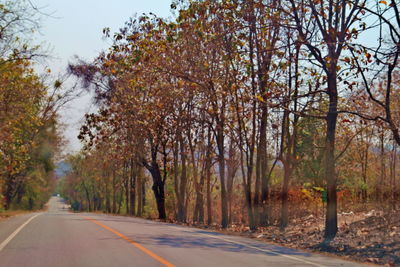 Road amidst trees against sky during autumn