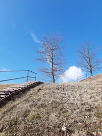 Bare trees on field against blue sky