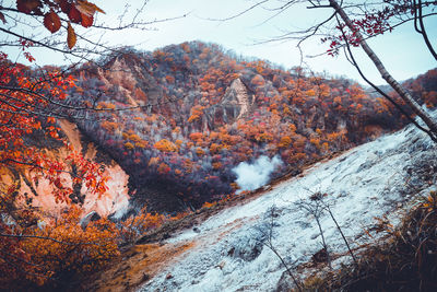 Trees on snow covered land against sky during autumn