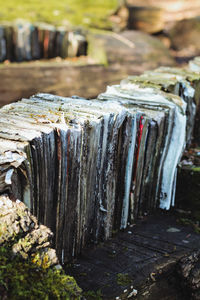 Close-up of old books 