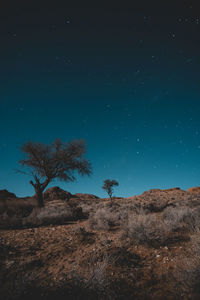 Scenic view of field against sky at night