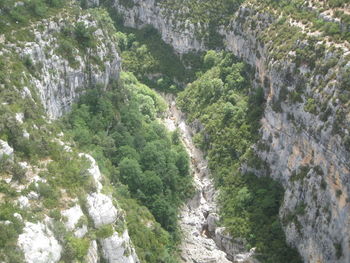 Scenic view of waterfall in forest