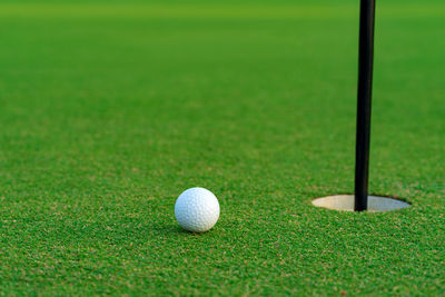 Golf ball on lip of cup at golf court.