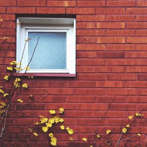 Window on brick wall