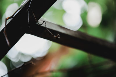 Close-up of water drops on spider web