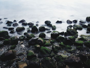 Close-up of rocks in sea against sky