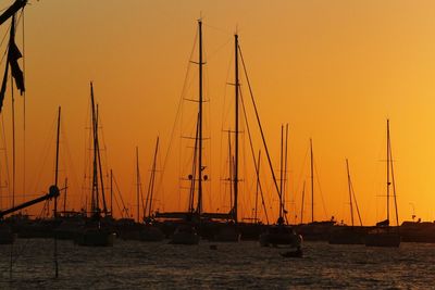 Sailboats in marina at sunset