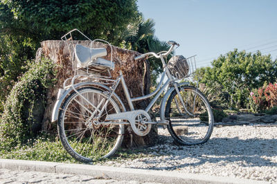 Vintage woman bike parked on big cut trunk of a beautiful garden