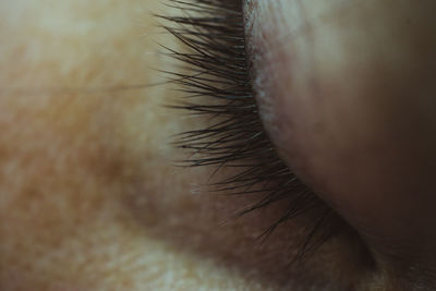 Macro shot of human eye