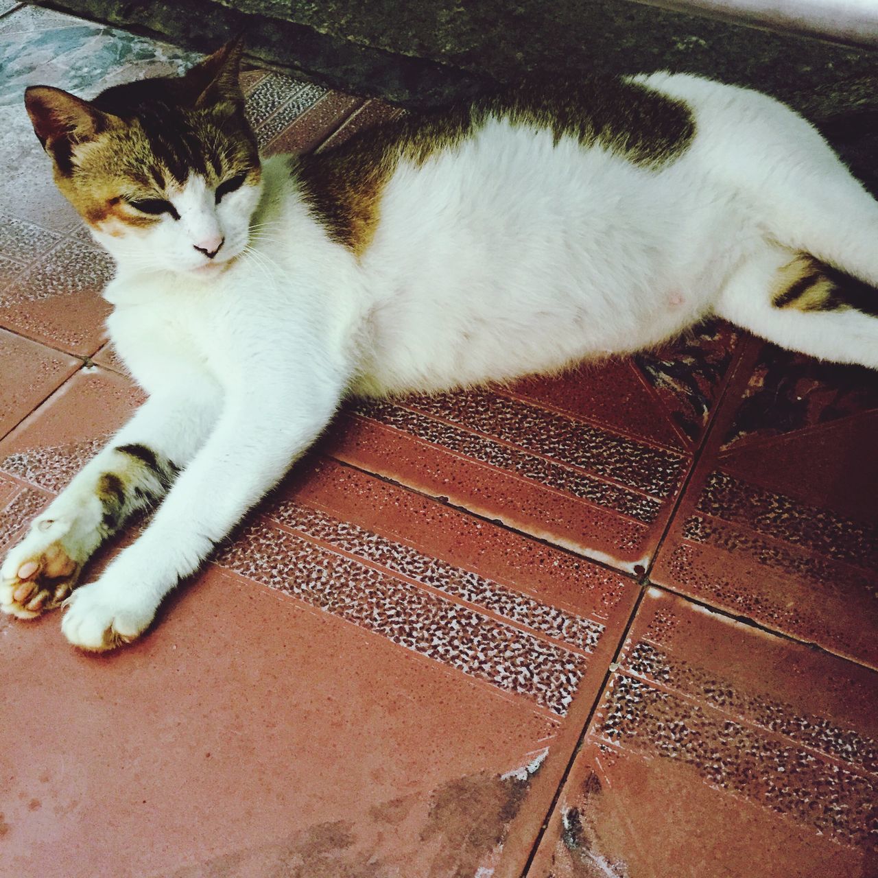 飘香小食店