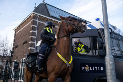 View of a horse in a front of building