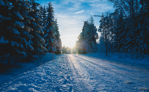 Road amidst trees against sky