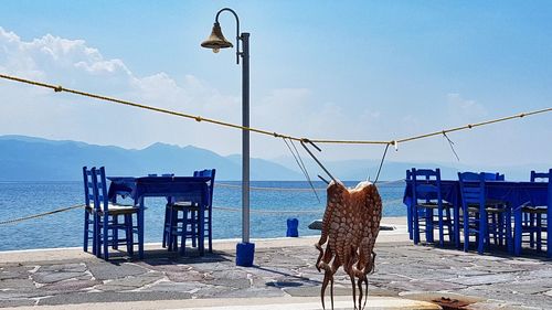 View of drying octopus by sea against sky
