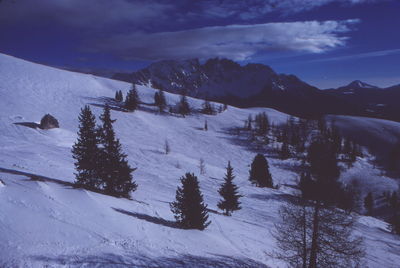 snow
