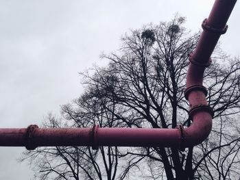 Low angle view of bare trees against sky