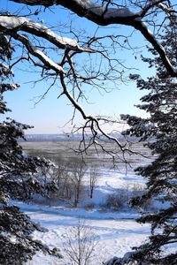 Snow covered land and trees against sky