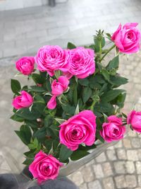 High angle view of pink roses bouquet