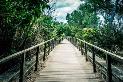 Wooden footbridge along plants and trees against sky