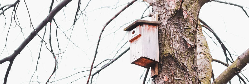 Low angle view of birdhouse on tree against building