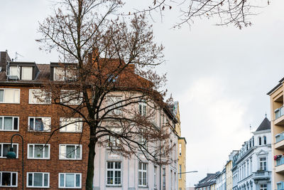 Low angle view of tree and building against sky