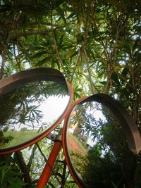 Low angle view of palm trees