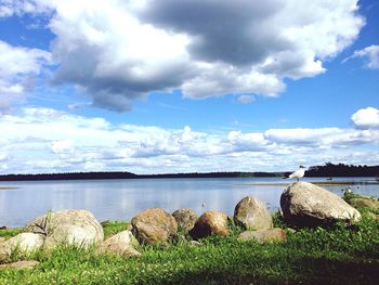 Scenic view of sea against sky