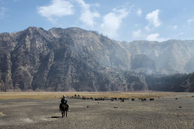 People riding horse