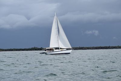 Sailboat sailing on sea against sky