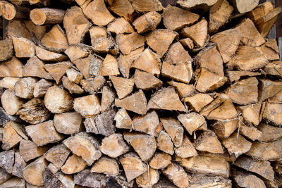 Full frame shot of logs in forest