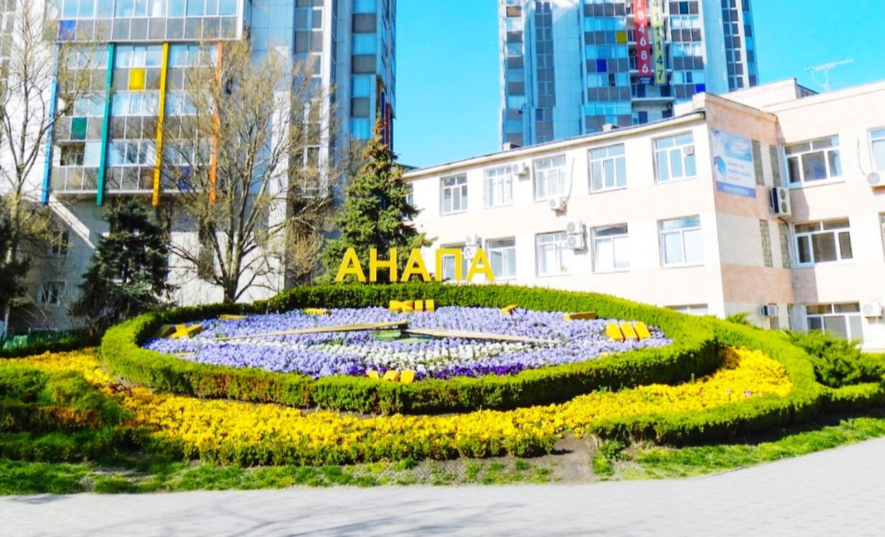 PLANTS GROWING IN GARDEN BY BUILDINGS