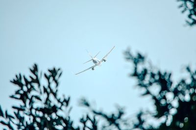 Low angle view of airplane flying in sky