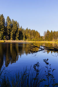 Scenic view of lake against clear blue sky