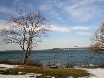 Bare tree by sea against sky