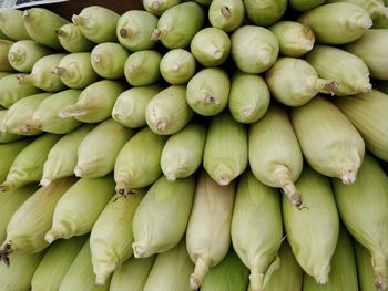Full frame shot of sweet corn for sale at market stall