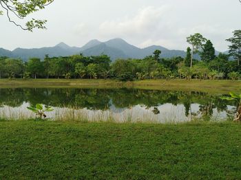 Scenic view of lake by field against sky