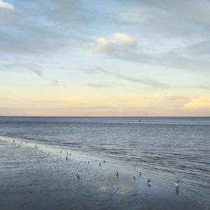 Scenic view of sea against sky