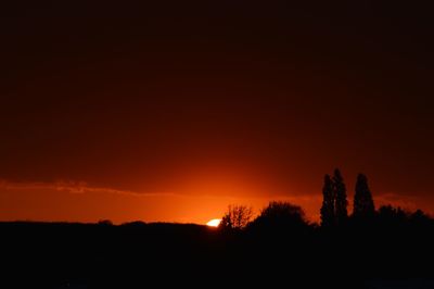 Silhouette trees against sky during sunset