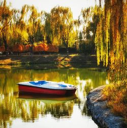 Scenic view of lake by trees during autumn