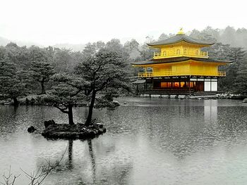 Reflection of trees in water