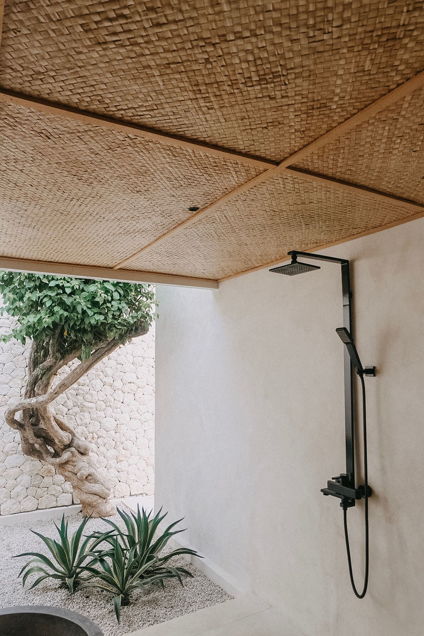 LOW ANGLE VIEW OF POTTED PLANT AGAINST WALL