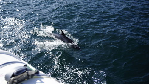 High angle view of boat in sea