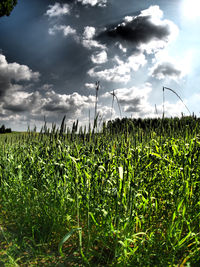 Scenic view of field against cloudy sky