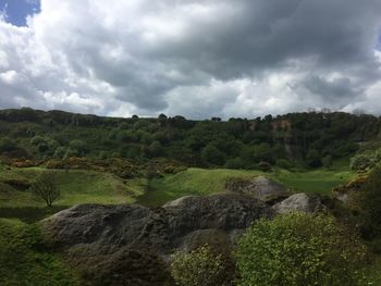 Scenic view of green landscape and river against cloudy sky