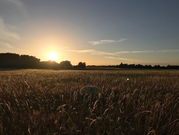 Scenic view of field against sky during sunset