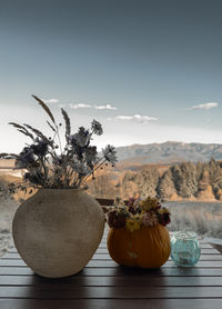 Dried flowers and mountain view