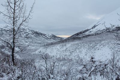 Scenic view of snowcapped mountains against sky