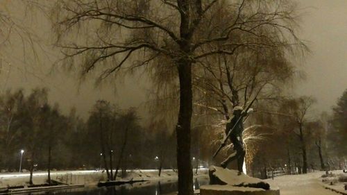 Bare trees against sky during winter