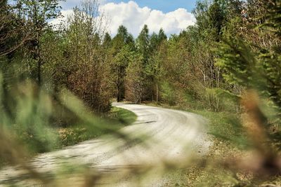 Road amidst trees in forest against sky